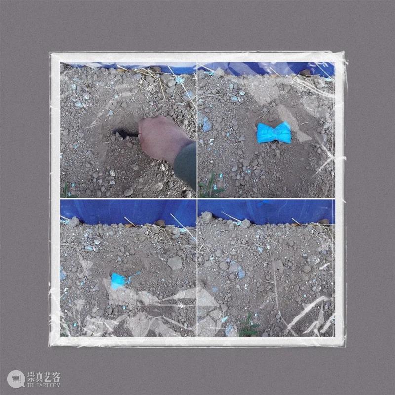 “种啥得啥”无限脑洞大赛有奖征集进行中 崇真艺客