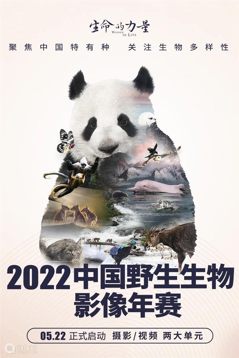 2022中国野生生物影像年赛正式上线,中国特有种你知道多少? 崇真艺客