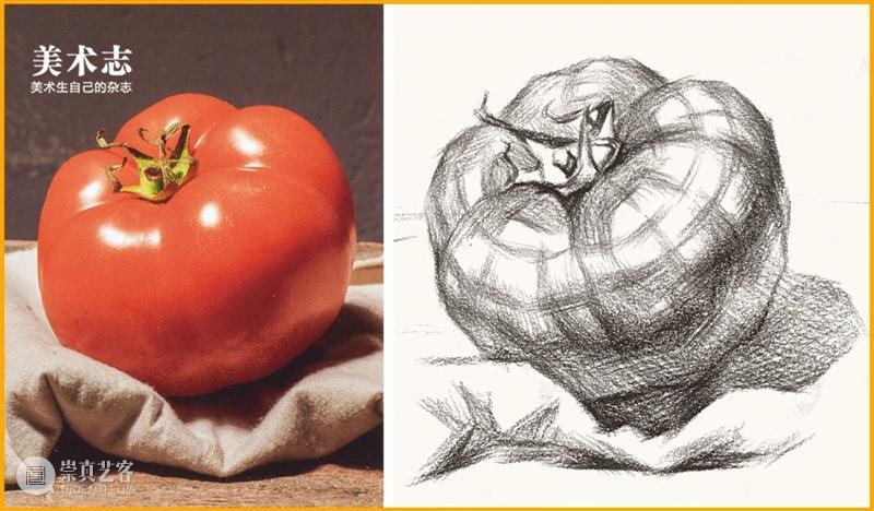 【素描静物】西红柿照着这里面的画，保证你秒杀考场里的所有人 ！ 崇真艺客