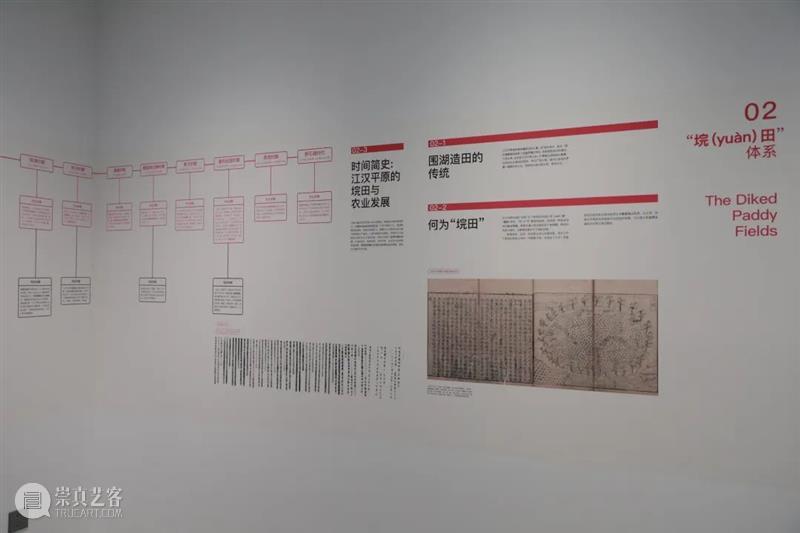 地方设计带动农业品牌升级 | “中国农谷·农创中心”开幕 崇真艺客
