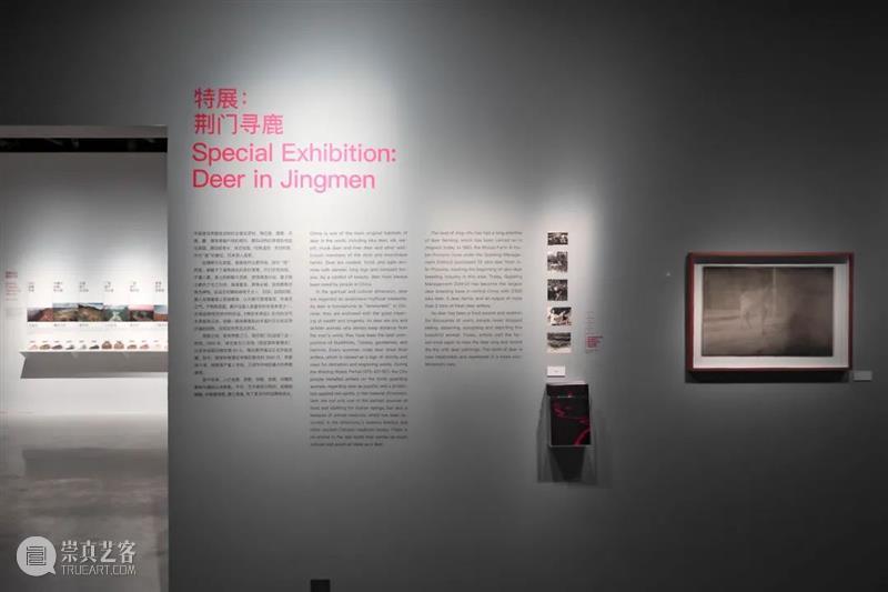 地方设计带动农业品牌升级 | “中国农谷·农创中心”开幕 崇真艺客