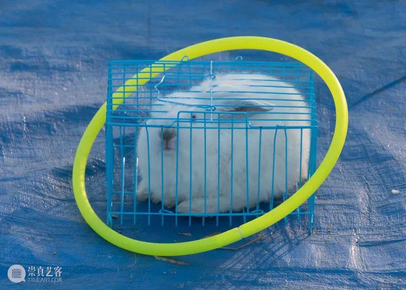 【即将启动】第3届三影堂 PhoPho Fair参展阵容揭晓！ 崇真艺客