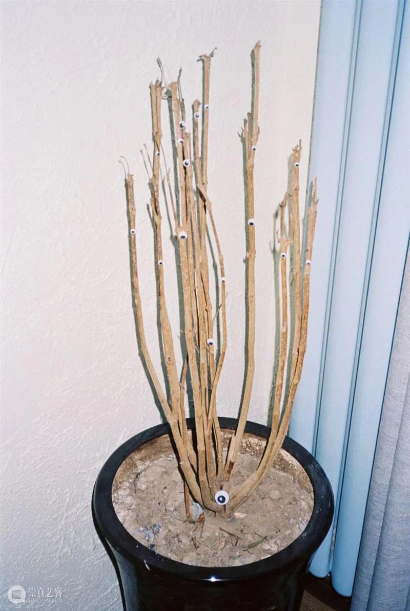 【即将启动】第3届三影堂 PhoPho Fair参展阵容揭晓！ 崇真艺客