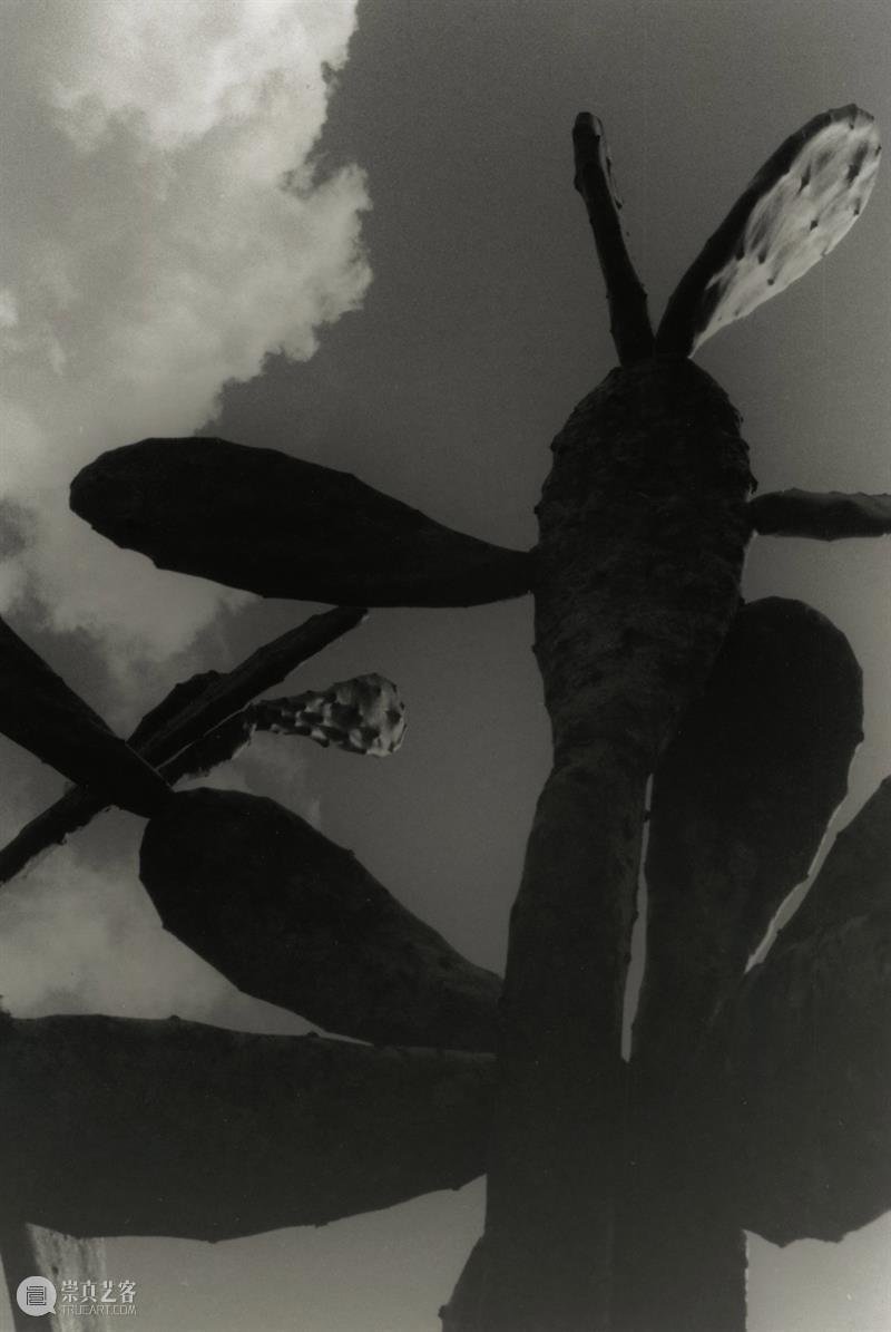 【即将启动】第3届三影堂 PhoPho Fair参展阵容揭晓！ 崇真艺客