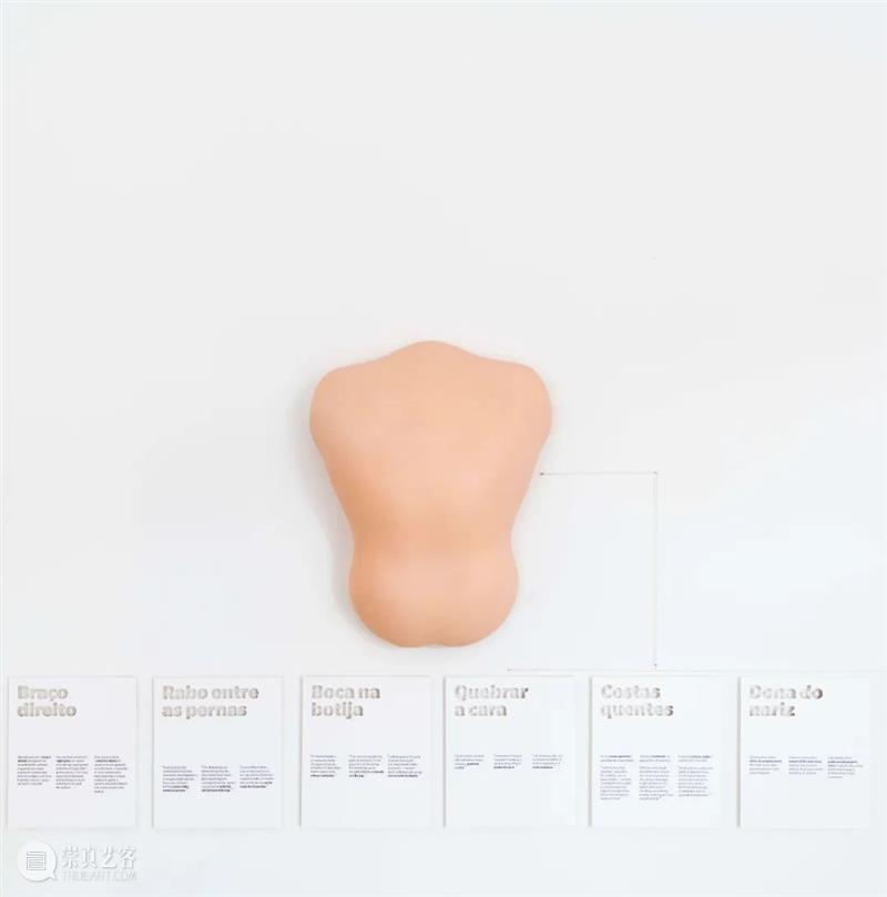 威尼斯双年展 | 乔纳塔斯·德·安德雷德正于花园展区巴西馆呈现个展“心自口出” 博文精选 北京 崇真艺客