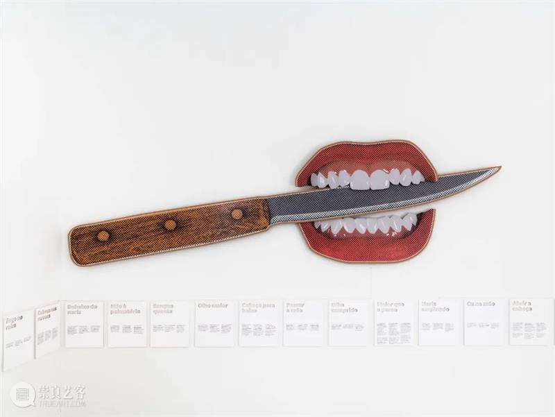 威尼斯双年展 | 乔纳塔斯·德·安德雷德正于花园展区巴西馆呈现个展“心自口出” 博文精选 北京 崇真艺客
