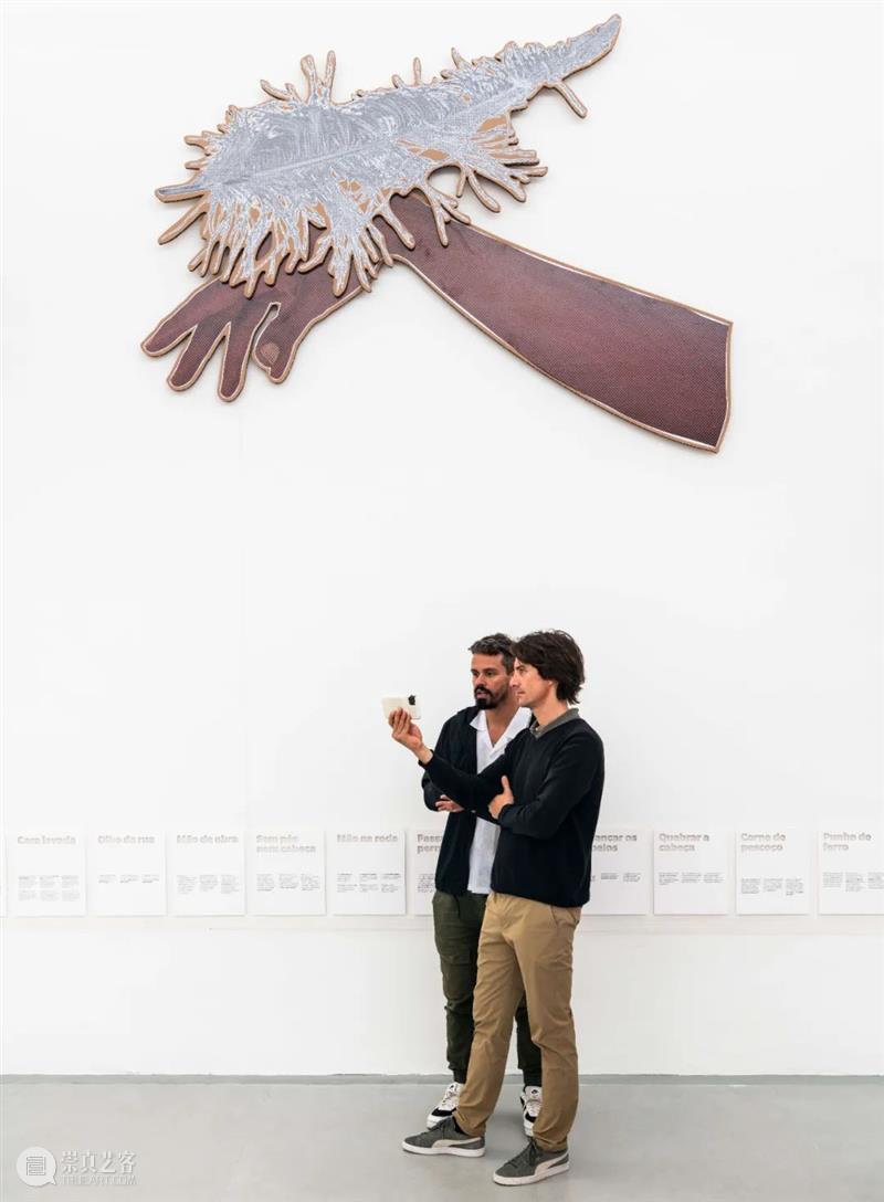威尼斯双年展 | 乔纳塔斯·德·安德雷德正于花园展区巴西馆呈现个展“心自口出” 博文精选 北京 崇真艺客