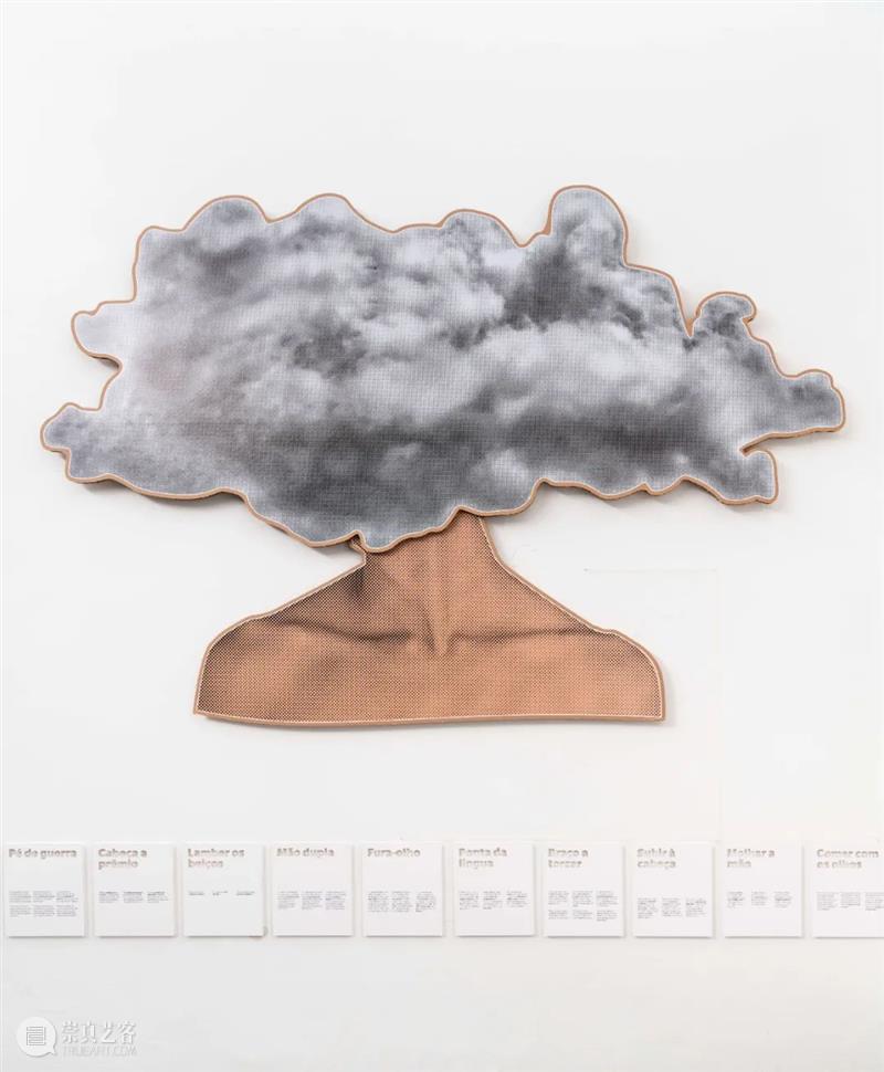 威尼斯双年展 | 乔纳塔斯·德·安德雷德正于花园展区巴西馆呈现个展“心自口出” 博文精选 北京 崇真艺客