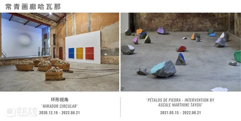 威尼斯双年展 | 乔纳塔斯·德·安德雷德正于花园展区巴西馆呈现个展“心自口出” 博文精选 北京 崇真艺客