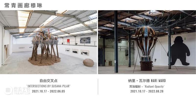 威尼斯双年展 | 乔纳塔斯·德·安德雷德正于花园展区巴西馆呈现个展“心自口出” 博文精选 北京 崇真艺客