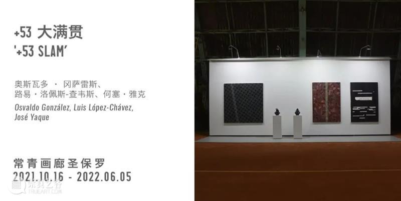 威尼斯双年展 | 乔纳塔斯·德·安德雷德正于花园展区巴西馆呈现个展“心自口出” 博文精选 北京 崇真艺客