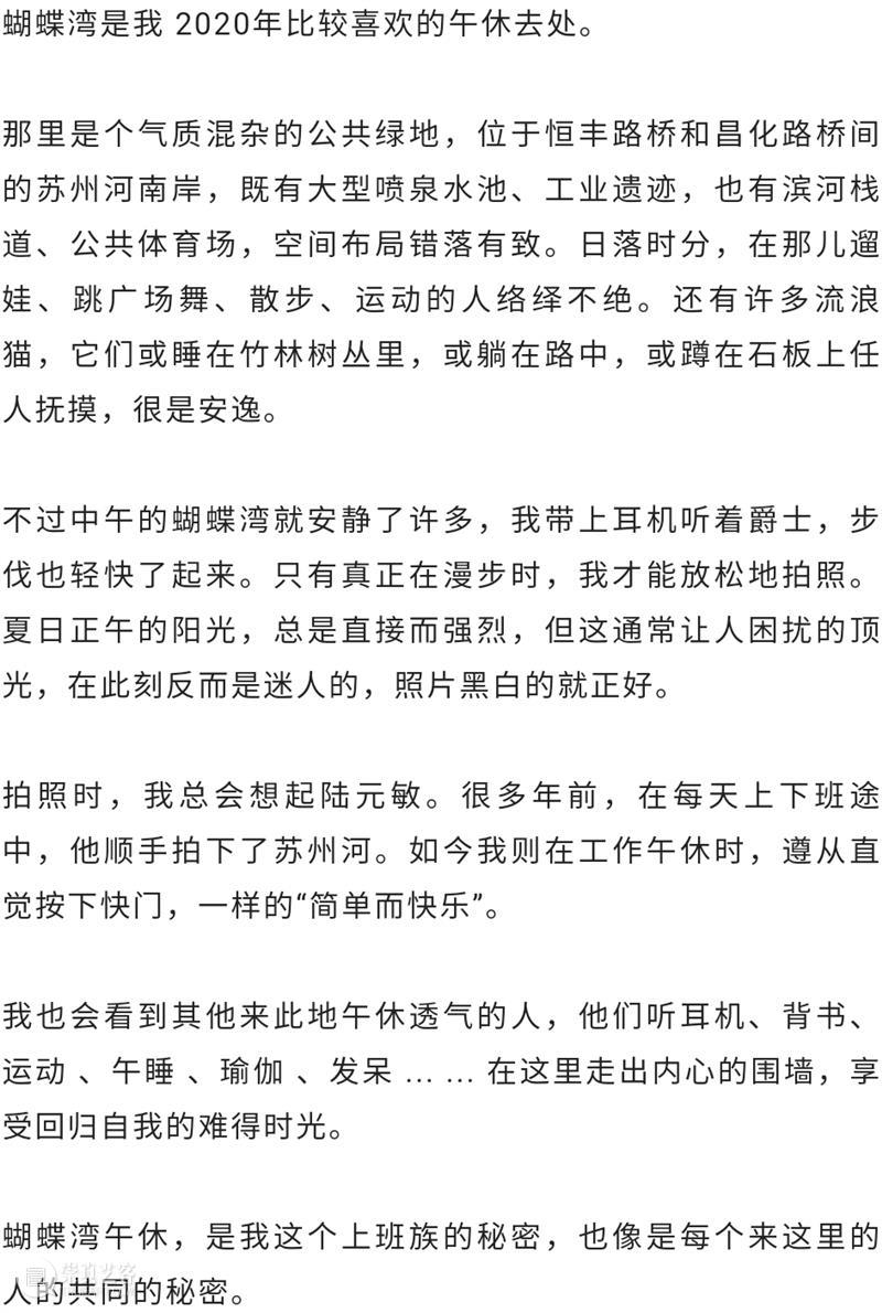 “艺”起前行：公 • 园｜线上展（三） 崇真艺客