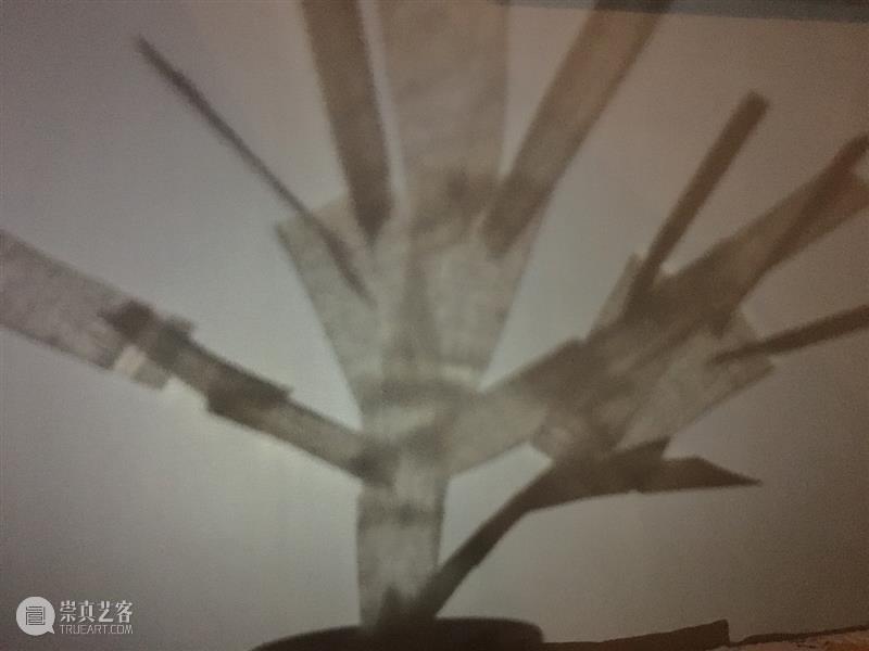 “艺”起前行：公 • 园｜线上展（三） 崇真艺客