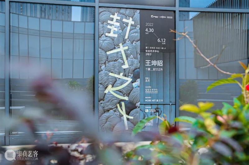 封寸之外|吕美仪:安于封寸之内,又想跃到封寸之外 崇真艺客