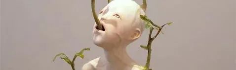 她画的花被总统收藏 崇真艺客