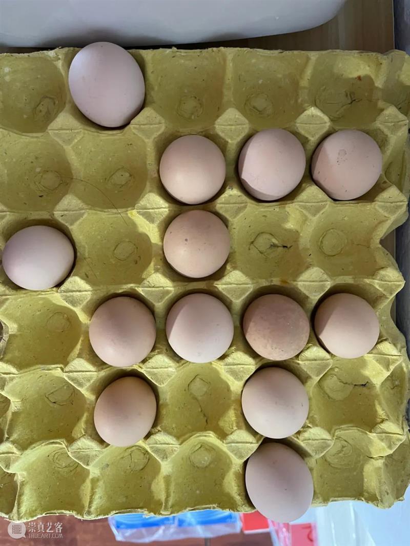 鸡蛋 崇真艺客