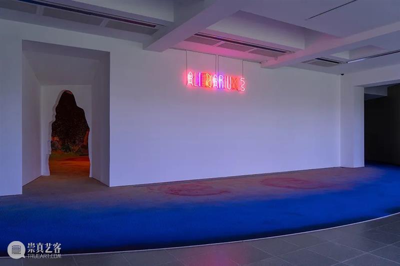 多米尼克·冈萨雷斯-福斯特（Dominique Gonzalez-Foerster）个展在伦敦蛇形画廊 崇真艺客