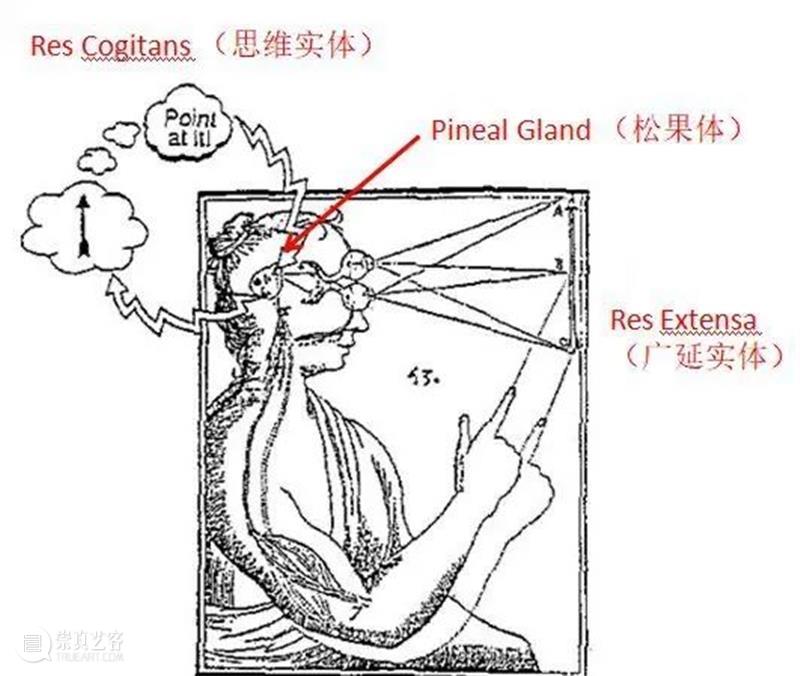 HOW系列论坛⑷回顾 | 女机器人(上) 崇真艺客