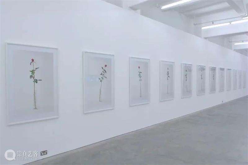 同行/存在的隐形内爆 | Marco Fusinato 博文精选 徐震XuZhen 崇真艺客