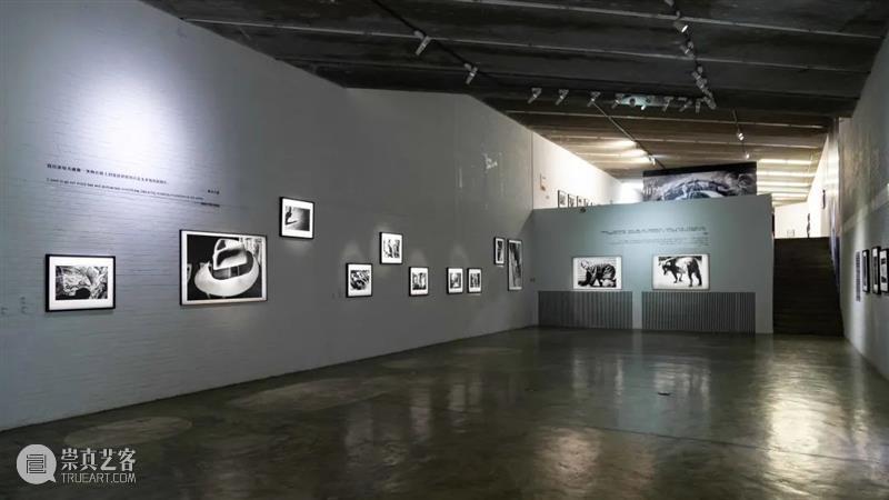 荣荣&映里荣获2022年“日本写真协会国际奖” 崇真艺客