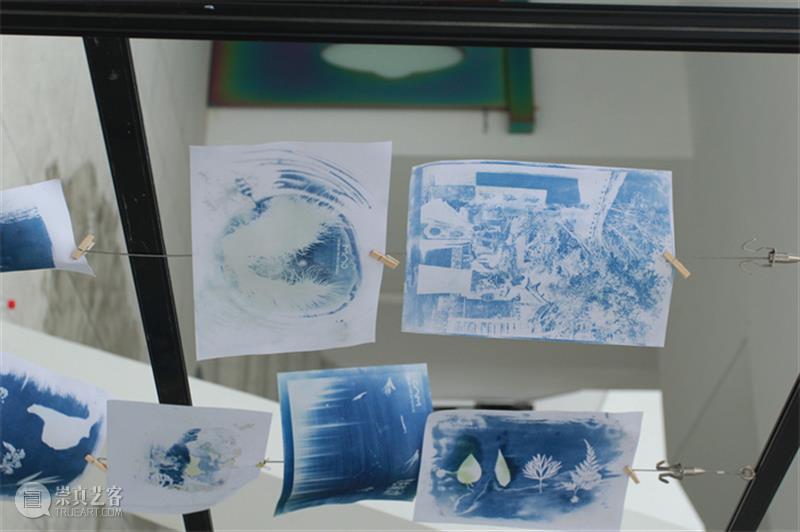 掌上艺术 • 展览现场丨当代摄影群展在杭州仓美术馆展出，展期将延续到6月22日 博文精选 石皓发布 崇真艺客