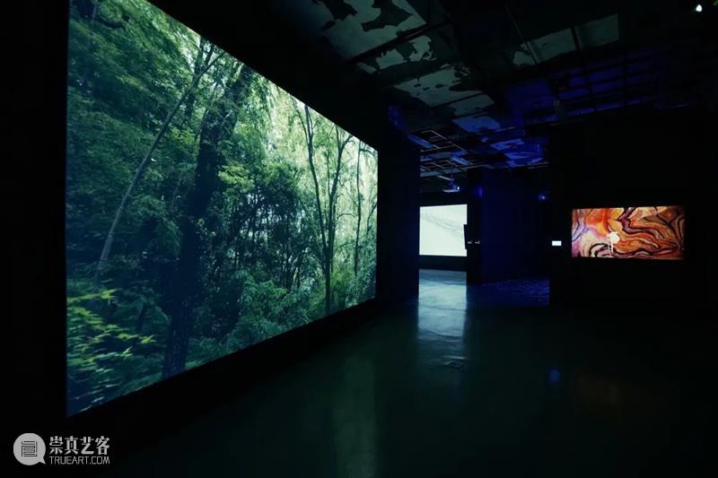 ZAM展区｜回声在坐标缝隙里——2022届跨媒体艺术学院实验艺术系本硕毕业展 崇真艺客