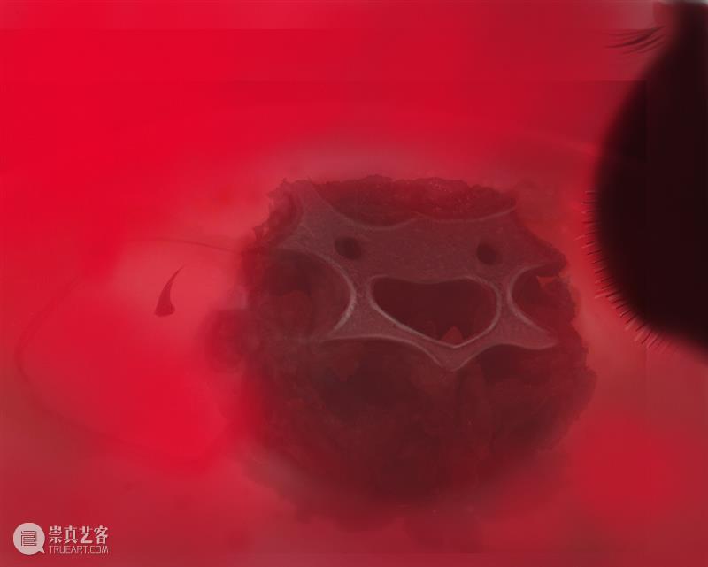 微展厅/壁画系·研究生丨2022中央美院毕业季 崇真艺客