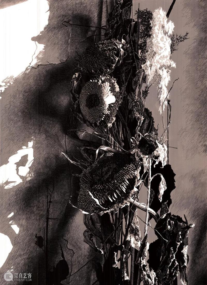 【展览预告】印痕有象——大连画院版画院作品展 崇真艺客