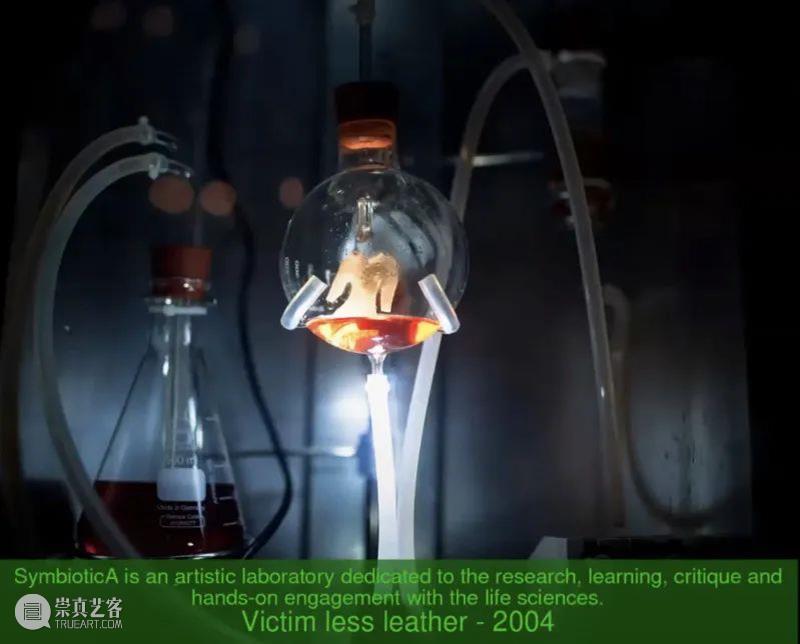 HOW系列论坛⑵回顾 | 感知探究:超越生命/机器二元 崇真艺客
