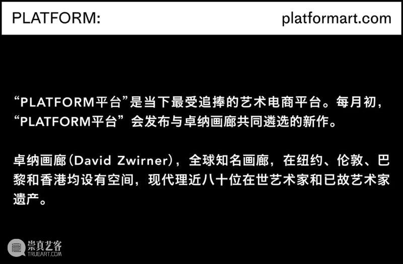 PLATFORM ｜六月新品，上架艺术品电商平台 崇真艺客