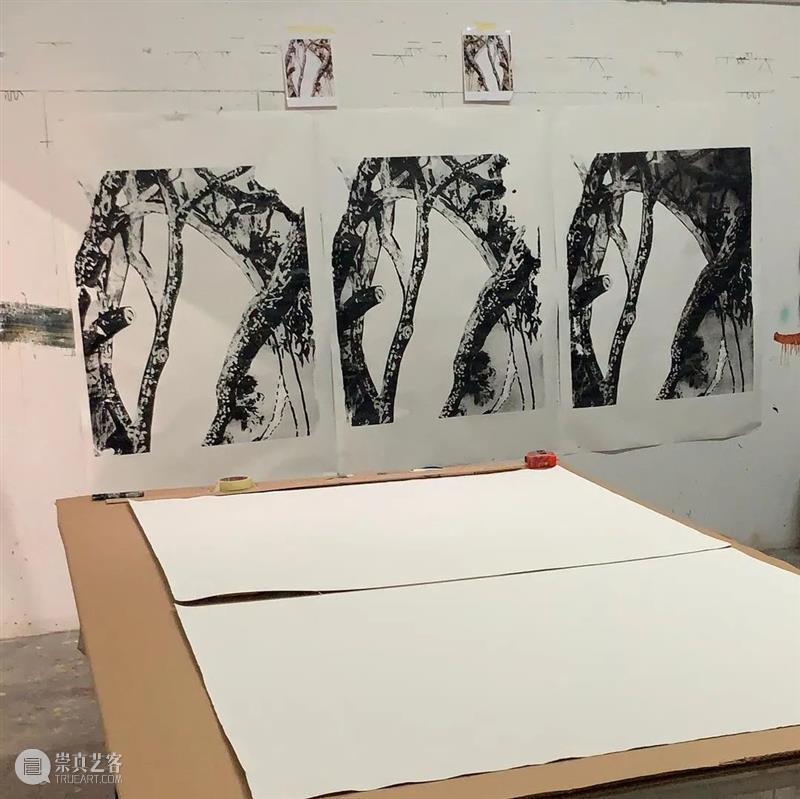 Art-Ba-Ba 专访｜威廉·麦金农：它们不是树，它们是一些标记 - SimonLee画廊 - 崇真艺客