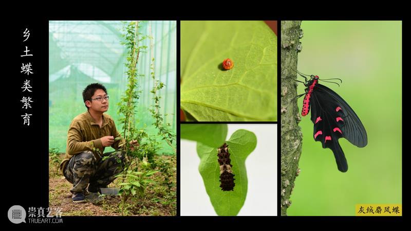 AM 讲座回顾 | 【白领之夜】如何提高一座城市的生物多样性 崇真艺客
