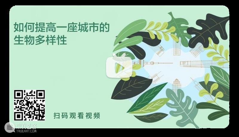 AM 讲座回顾 | 【白领之夜】如何提高一座城市的生物多样性 崇真艺客