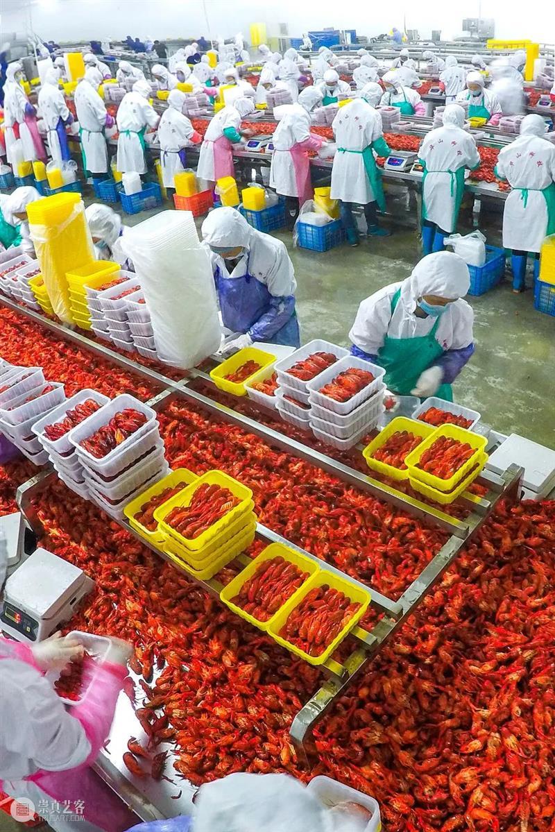 中国小龙虾第一大省，“嘬虾”究竟有多猛？ 崇真艺客