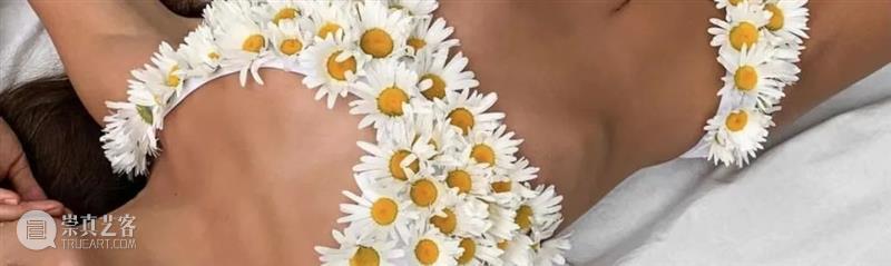 栩栩如生的植物绘画 崇真艺客