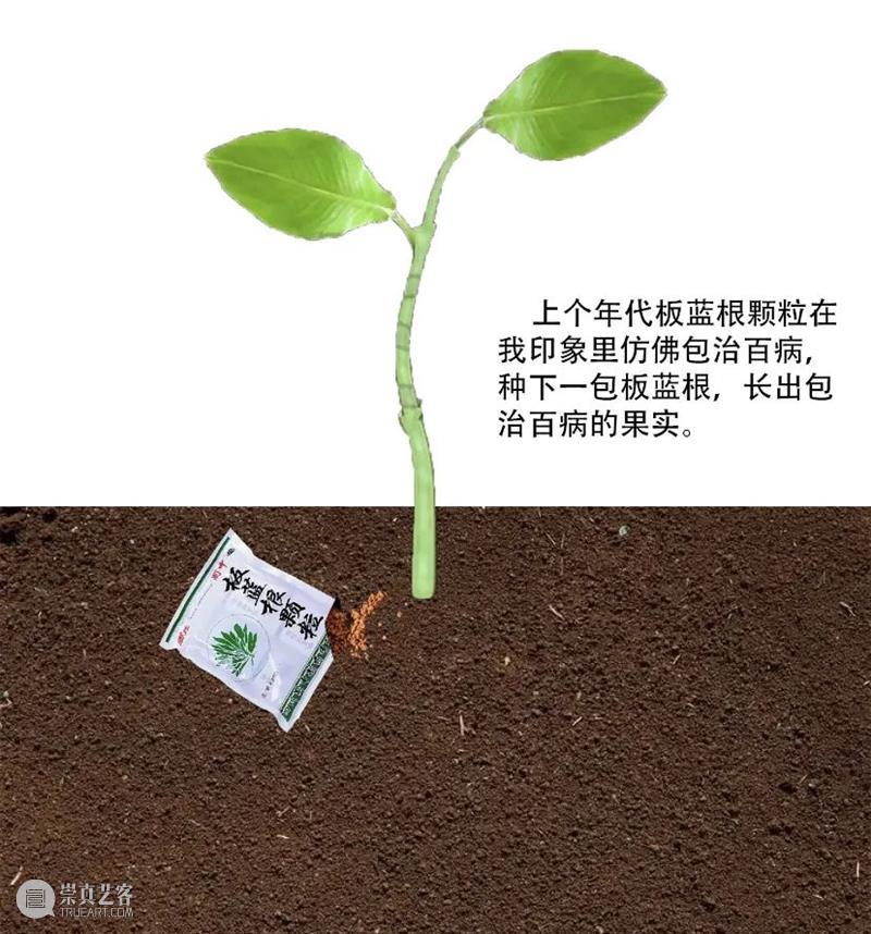 “种啥得啥”创意作品大赛开启投票 崇真艺客