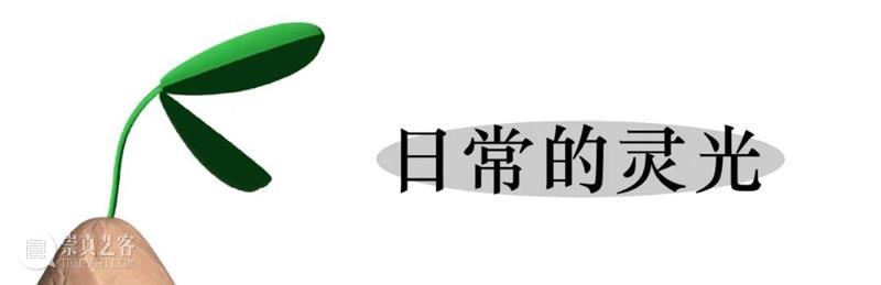 “种啥得啥”创意作品大赛开启投票 崇真艺客