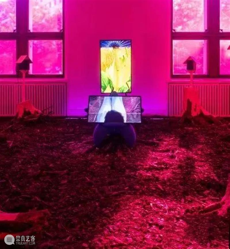 合集｜2022年透纳奖的四位提名者 博文精选 大督摄影VIP 崇真艺客