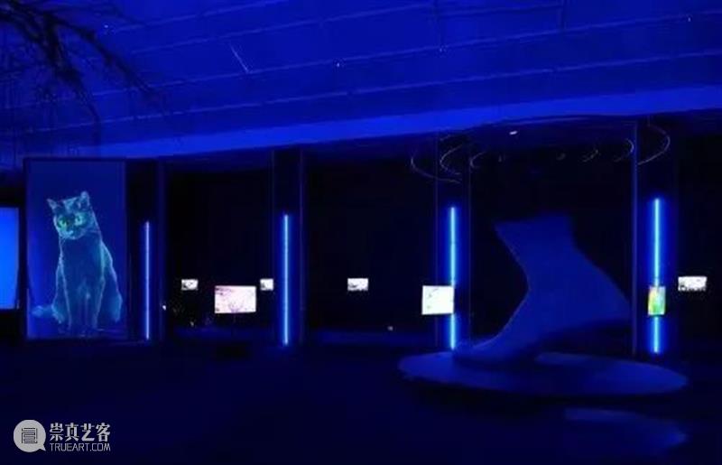 合集｜2022年透纳奖的四位提名者 博文精选 大督摄影VIP 崇真艺客