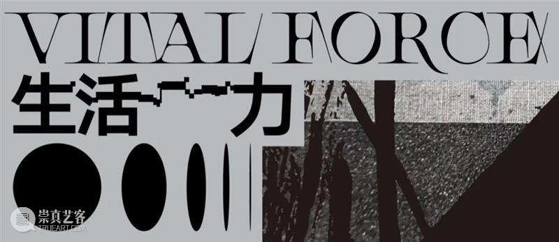 ZAM展区｜中国美术学院绘画艺术学院2022届毕业生作品展·油画篇（本科） 崇真艺客