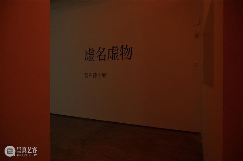 【GCA】《虚名虚物》艺术家推介丨聂利莎 崇真艺客