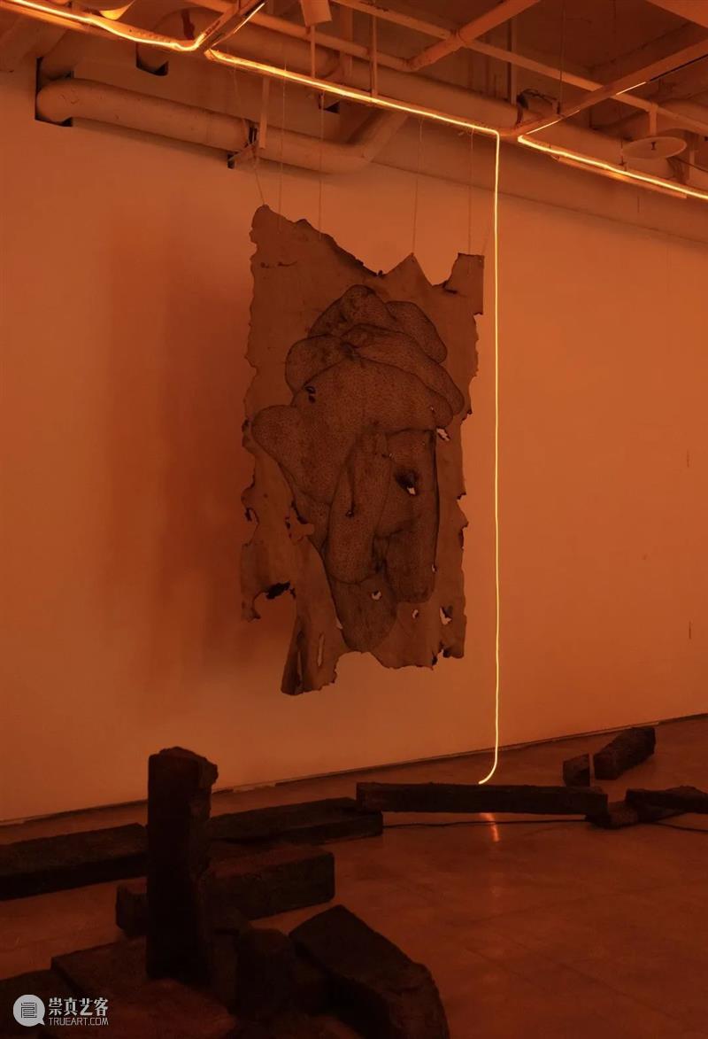 【GCA】《虚名虚物》艺术家推介丨聂利莎 崇真艺客