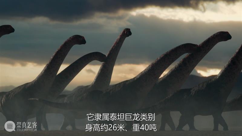 豆瓣9.4，前所未有的顶级新片，每一秒都在燃烧经费 崇真艺客