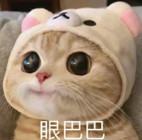 张新成、邓家佳《回廊亭》定档；吴彦祖曾救被骚扰的女性而受伤 崇真艺客