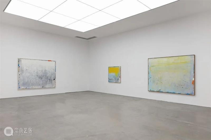 展览现场 | 冯良鸿个展「森林小丘」正在展出 崇真艺客