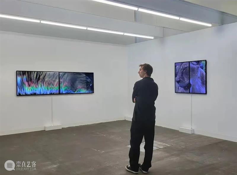 现场 | Vanguard 画廊参加2022巴塞尔LISTE艺术博览会 | 展位 17 崇真艺客