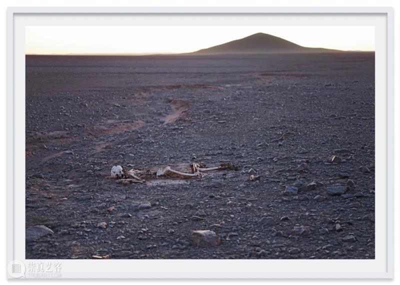 线上巴塞尔｜玛丽安 · 古德曼画廊参加巴塞尔艺术展巴塞尔展会 崇真艺客