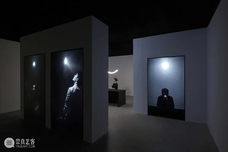 最后三天!别错过这场“明星”展览|厦门 崇真艺客