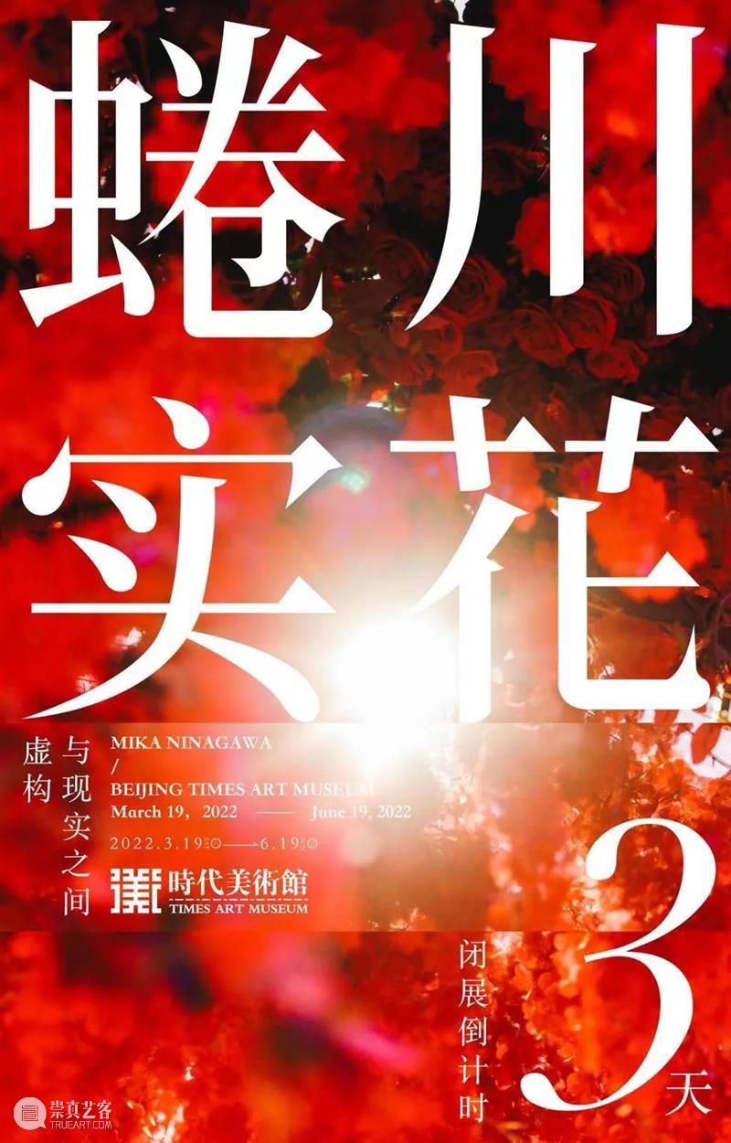 闭展倒计时3天| 聆听他们心中的“花” 崇真艺客