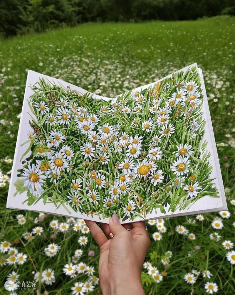 普通画纸上开出的花 崇真艺客